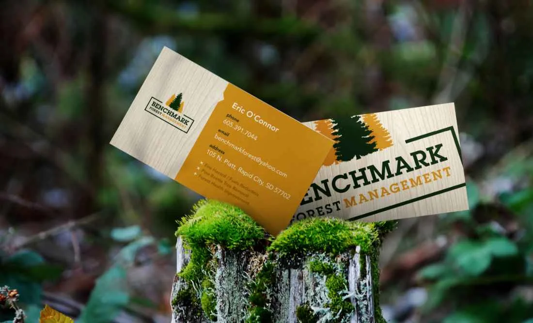 Benchmark Forest Management Logo and Business Cards